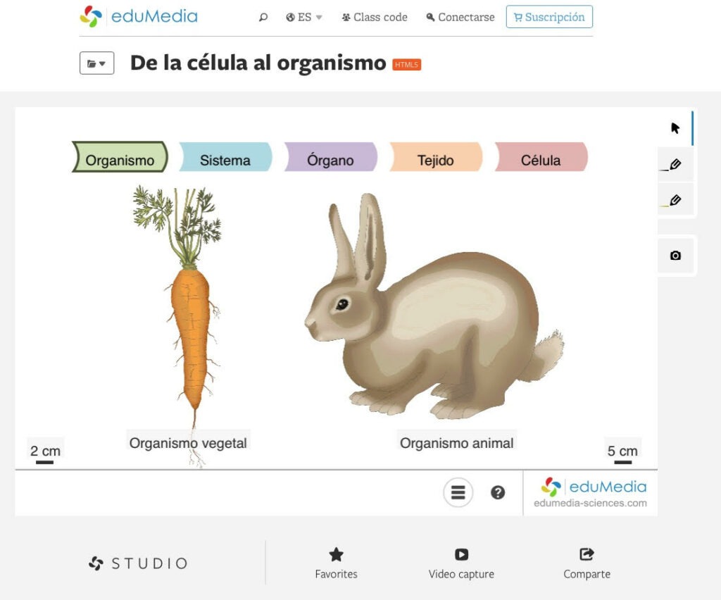 Edumedia Secundaria